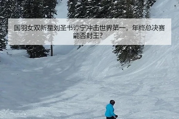 国羽女双新星刘圣书谭宁冲击世界第一，年终总决赛能否封王？